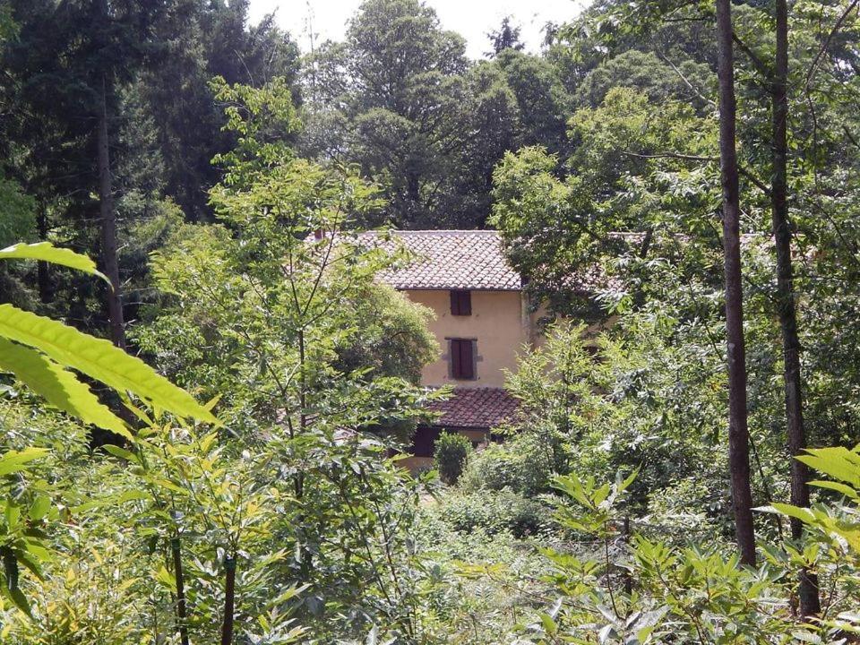 Agriturismo Fonte Magria Abbadia San Salvator Exteriör bild
